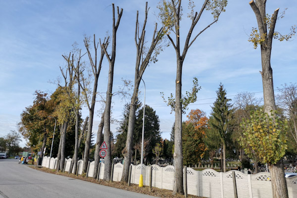 V rimavskosobotskom cintoríne obnovujú plot pri bráne a opílili vysoké stromy
