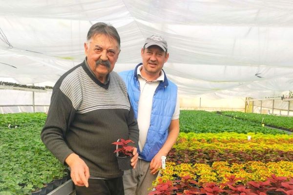 Kertészovci z Vyšných Valíc sa záhradníctvu venujú desaťročia.  Ich pestrú ponuku kvetov nájdete aj v R. Sobote