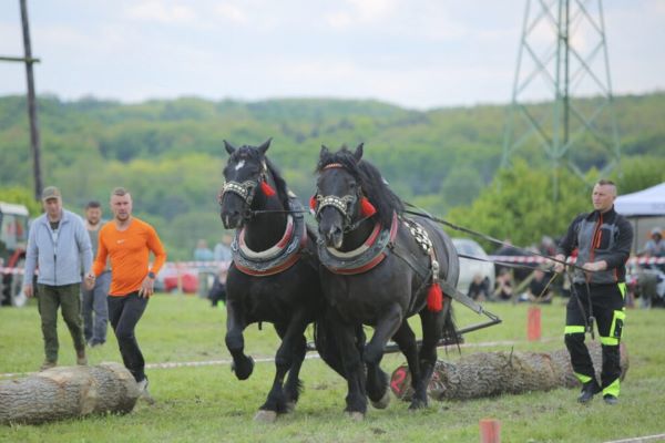 Furmanské preteky so zábavou pritiahli na Ľadovo milovníkov zvierat i tradícií + foto a video