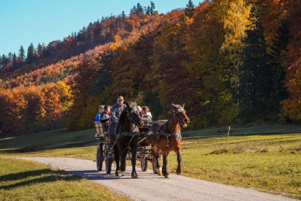 V Národnom parku Muránska planina spúšťajú  službu bezplatného vozenia návštevníkov na koči