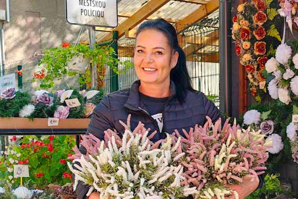 V piatok a sobotu platí znížená cena črepníkových chryzantém na 5 eur - v kvetinárstve u Csilly v R. Sobote do vypredania zásob